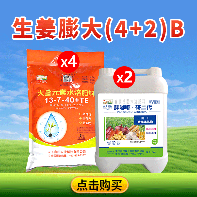 生姜膨大(4+2)Ｂ公众号800-800