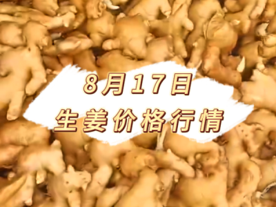 8月17日 生姜价格行情 ()