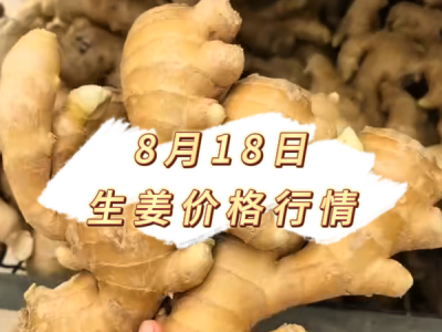 8月18日 生姜价格行情 ()