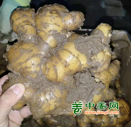 QQ截图20220326173026