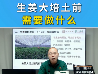 植物生长调节剂到底是什么？ ()