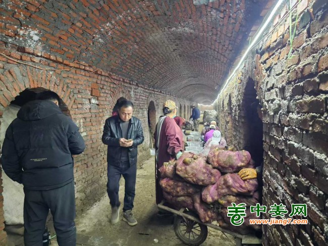 曹梅大姜图片_2026-08-21_171624_628