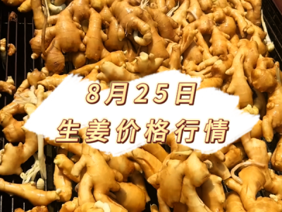 8月25日 生姜价格行情 ()