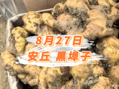 8月27日 安丘黑埠子价格行情 ()