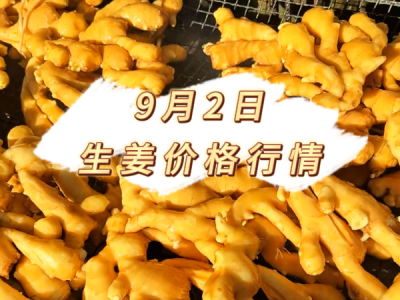 9月2日 生姜价格行情 ()