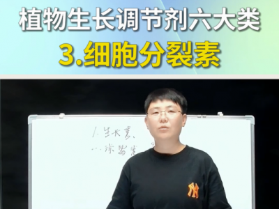 植物生长调节剂六大类--细胞分裂素 ()