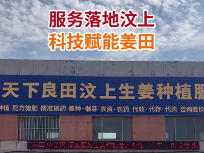 服务落地汶上 科技赋能姜田 ()