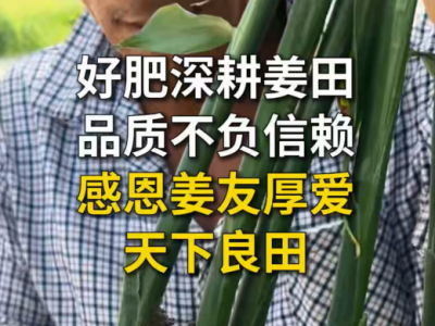 好肥深耕姜田，品质不负信赖 ，感恩姜友厚爱天下良田 ()