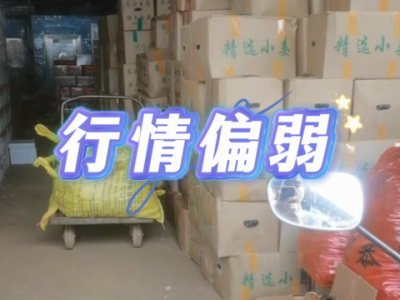 9月11日广州江南批发市场价格行情 ()