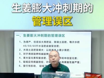 生姜膨大冲刺期的管理误区 ()