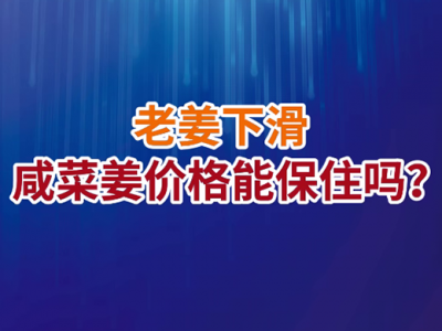老石说姜：老姜下滑，咸菜姜价格能保住吗？ ()