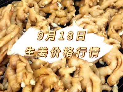 9月18日 生姜价格行情 ()