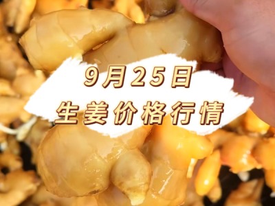 9月25日 生姜价格行情 ()