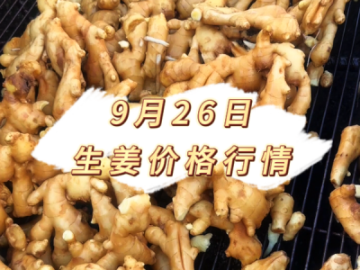 9月26日 生姜价格行情 ()