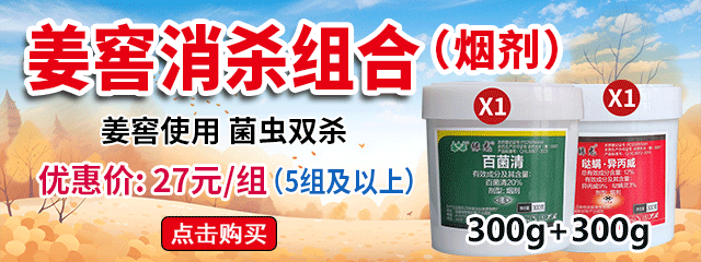 清姜窖组合