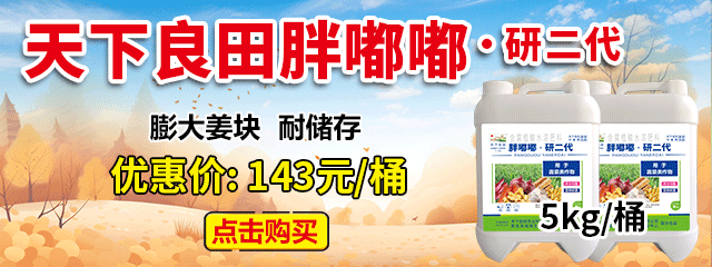 胖嘟嘟1