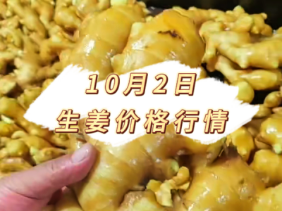 10月2日 生姜价格行情 ()