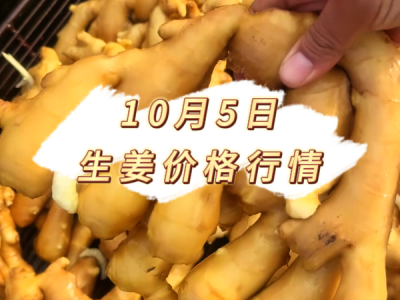 10月5日 生姜价格行情 ()