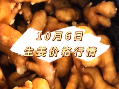 10月6日 生姜价格行情 ()